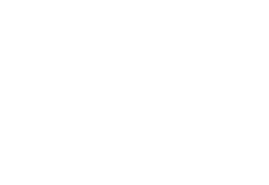 OPI Prospa Logo